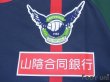 Photo5: Gainare Tottori 2018 Home Shirt w/tags (5)